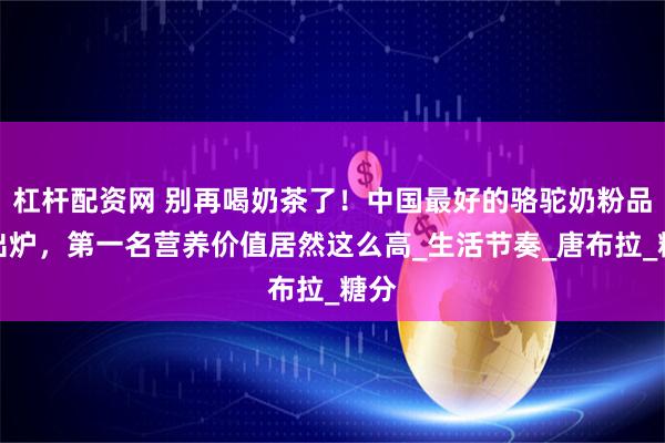 杠杆配资网 别再喝奶茶了！中国最好的骆驼奶粉品牌出炉，第一名营养价值居然这么高_生活节奏_唐布拉_糖分
