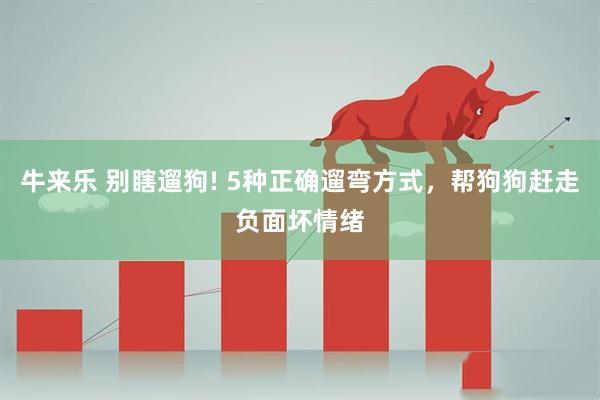 牛来乐 别瞎遛狗! 5种正确遛弯方式，帮狗狗赶走负面坏情绪